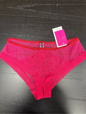 Passionata Pink Mesh Bikini Panty M